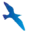 Logo van Prima Vista