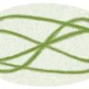Logo van Acupunctuur Praktijk en Shiatsu Massage Praktijk