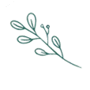 Logo van Weeldebras