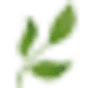 Logo Villapark de Weerribben