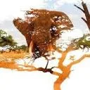 Logo van Nature Restoration Company