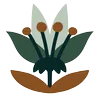 Logo van Beth Farris Consulting