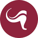 Logo van Flier Systems
