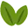 Logo van CyBear