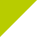 Logo codex NL