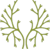 Logo van The Breathing Space