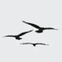 Logo van Nature Quest