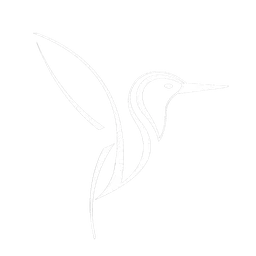 Logo van ZSELF Analytische Coaching AND Therapie