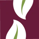 Logo van Natuurlijk Waarnemen