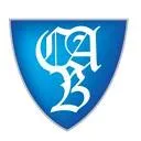 Logo van BizAcademyGlobal