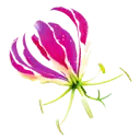 Logo van Uitvaartzorg Karin