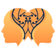 Logo van IANUS Project