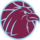 Logo van Arnhem Eagles Basketbalvereniging