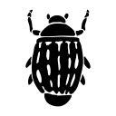 Logo van Gyrinus natans