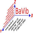 Logo BaVib