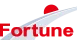 Logo van Fortune Energy Distributions NE B.V.