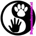 Logo van Dogsunderstood.nl