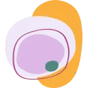 Logo van ZUIVER verloskundigen