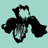 Logo van Stichting Lovely Leah Foundation