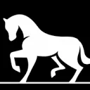 Logo van Erica Horse Care