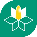 Logo van Willems Balgoy