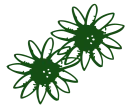 Logo van Gebr Rotteveel Vaste Plantenkwekerij