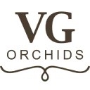 Logo van VG Orchids