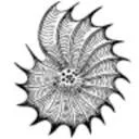 Logo van Deep Ecology Network