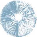 Logo van Microdosing Institute