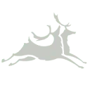 Logo Living by Nature