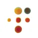 Logo van Fysiotherapie AND Beweegcentrum Maartensdijk