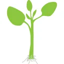 Logo van Rhizopon
