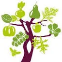 Logo Voedselbos Benthuizen