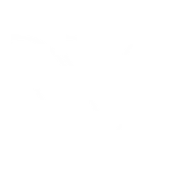 Logo van Vita Elite