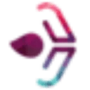 Logo van Synapse Group Maastricht