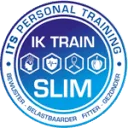 Logo ITS PT