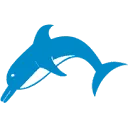 Logo van Dolphin Marine Offshore en Industrie B.V.