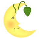 Logo van De Heldere Maan