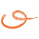 Logo van Stichting AURO