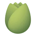 Logo Noory
