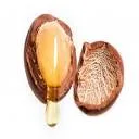 Logo van the Argan Farmer