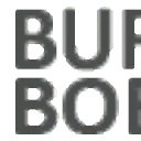 Logo van Bureau Boeren Executive Search
