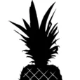 Logo van Pineapple Design AND Styling