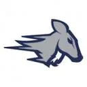 Logo van HSV The Stags