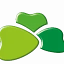 Logo Boermarke
