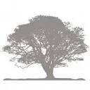 Logo Bio Sac 200
