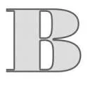 Logo van BONTE In AND Outdoor Decoration