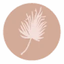 Logo 2Style Weddings AND Events
