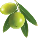 Logo van Celest Oil