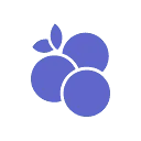 Logo Fruitboer op werk